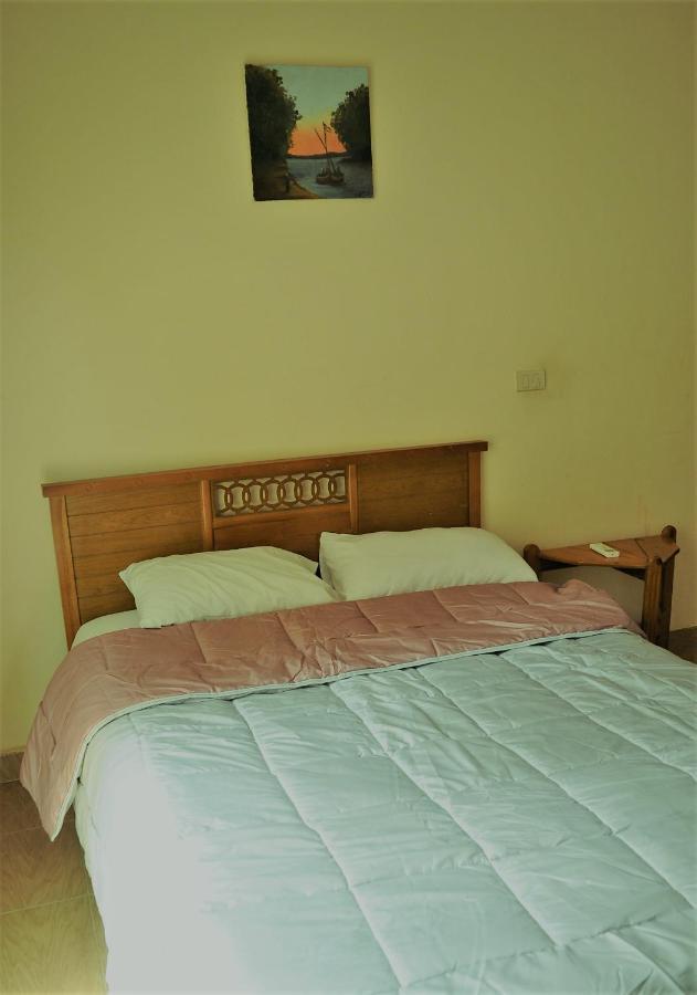 Rino Residential Apartment Кайро Екстериор снимка